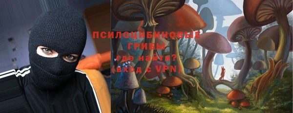 дурь Дмитриев