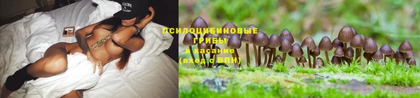 мдпв Дмитров