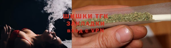 гидра Болохово