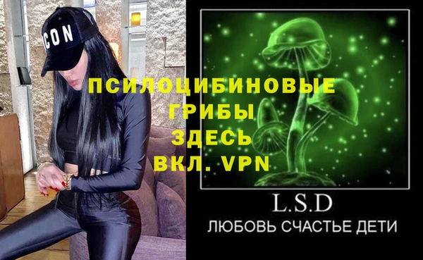 дурь Дмитриев