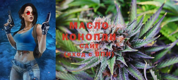 мдпв Дмитров