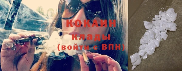 мдпв Дмитров
