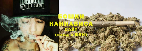 гидра Болохово