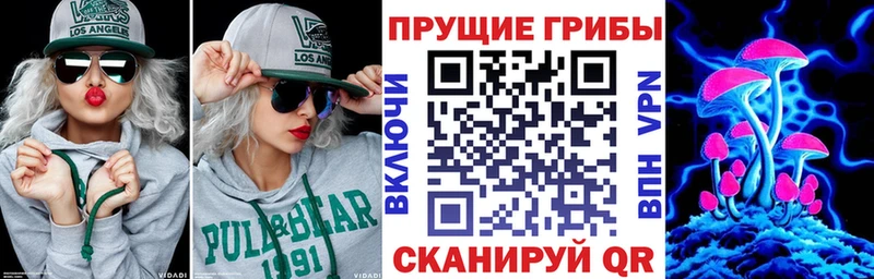 где купить наркоту  Духовщина  blacksprut онион  Псилоцибиновые грибы MAGIC MUSHROOMS 